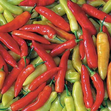 Aji Cristal Pepper Seeds - The Pepper Pantry (Formerly Marie Sharp's)